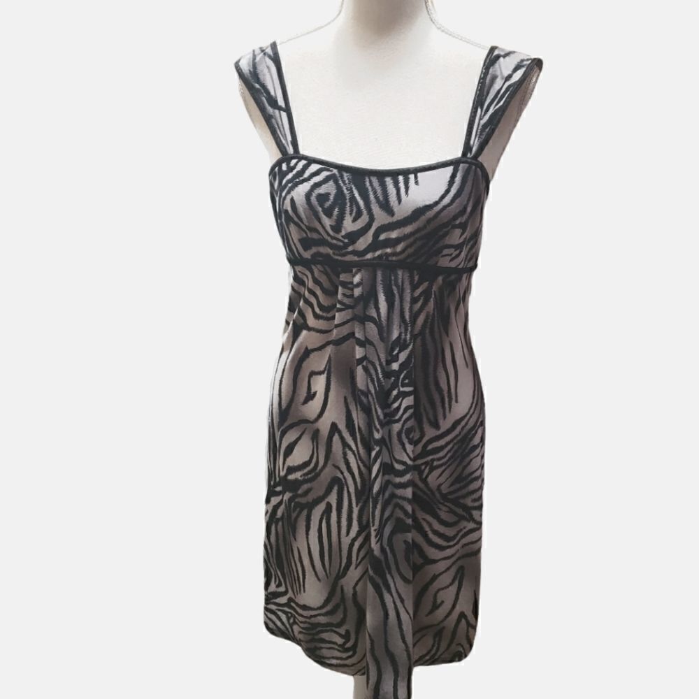 Eva Blue Tiger Print Dress Sz 6